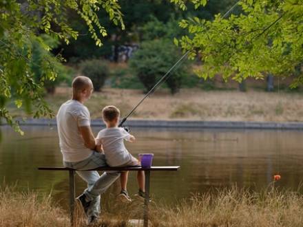 Naperville Child Support Attorney