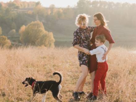 Warrenville, IL Family Law Lawyer
