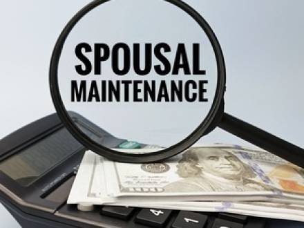 Wheaton, IL Alimony Attorney
